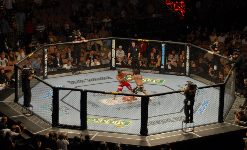 A general view of fighters competing inside the UFC Octagon during a bout, illustrative photo not from the Ankalaev vs. Guskov fight