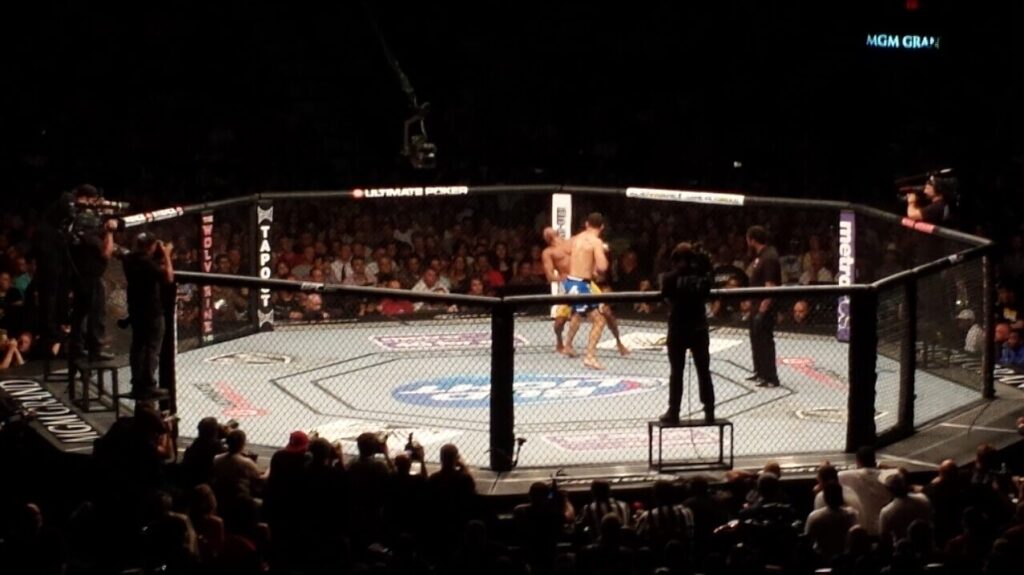 Wide arena shot of a UFC octagon during a live bout, fighters mid-action with referee and cageside crew visible (File photo: UFC octagon action from a past event (UFC 162, 2013), used to illustrate the September 2026 schedule generically.)